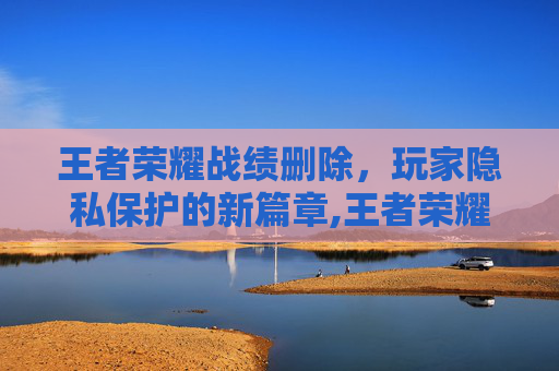 王者荣耀战绩删除，玩家隐私保护的新篇章,王者荣耀战绩删除了还能恢复吗