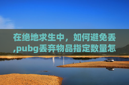 在绝地求生中，如何避免丢,pubg丢弃物品指定数量怎么设置