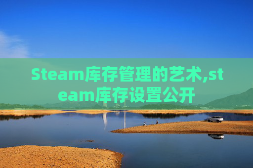 Steam库存管理的艺术,steam库存设置公开