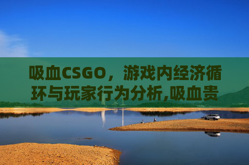 吸血CSGO，游戏内经济循环与玩家行为分析,吸血贵利王