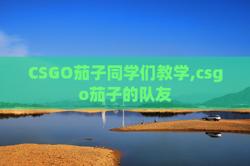 CSGO茄子同学们教学,csgo茄子的队友