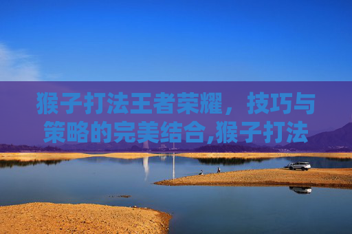 猴子打法王者荣耀，技巧与策略的完美结合,猴子打法王者荣耀怎么打