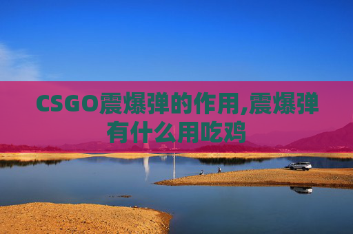 CSGO震爆弹的作用,震爆弹有什么用吃鸡
