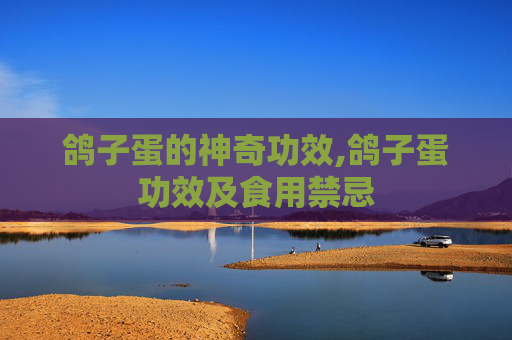 鸽子蛋的神奇功效,鸽子蛋功效及食用禁忌