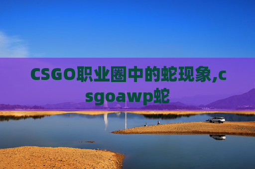 CSGO职业圈中的蛇现象,csgoawp蛇