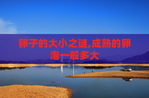 卵子的大小之谜,成熟的卵泡一般多大