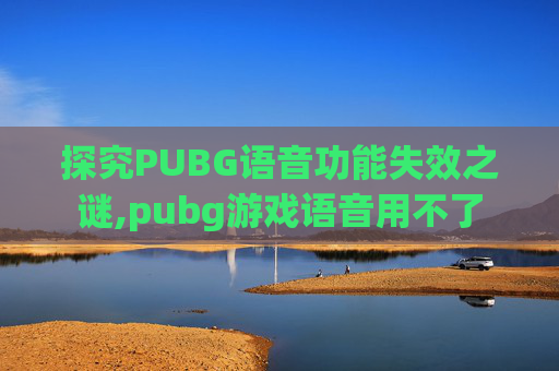 探究PUBG语音功能失效之谜,pubg游戏语音用不了