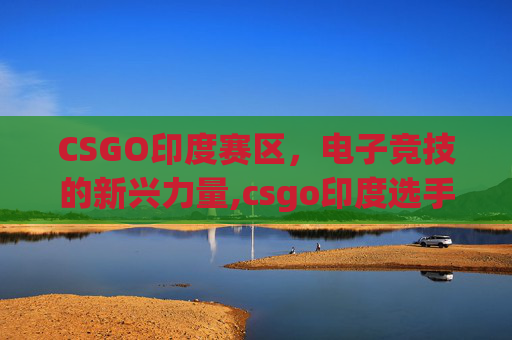 CSGO印度赛区，电子竞技的新兴力量,csgo印度选手开挂是哪一场