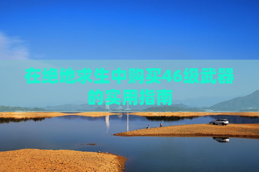 在绝地求生中购买46级武器的实用指南
