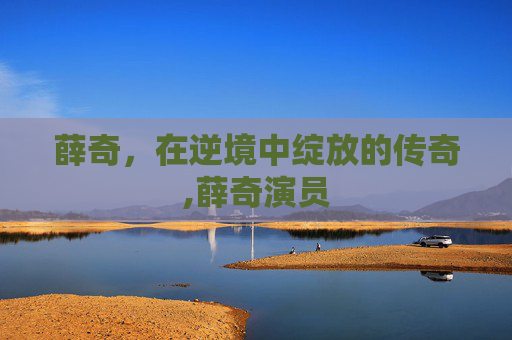 薛奇，在逆境中绽放的传奇,薛奇演员