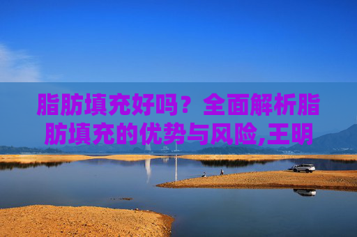 脂肪填充好吗？全面解析脂肪填充的优势与风险,王明利医生做脂肪填充好吗