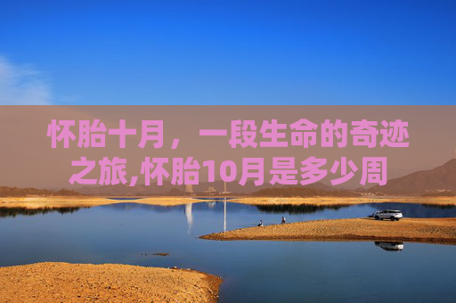 怀胎十月，一段生命的奇迹之旅,怀胎10月是多少周
