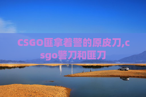 CSGO匪拿着警的原皮刀,csgo警刀和匪刀