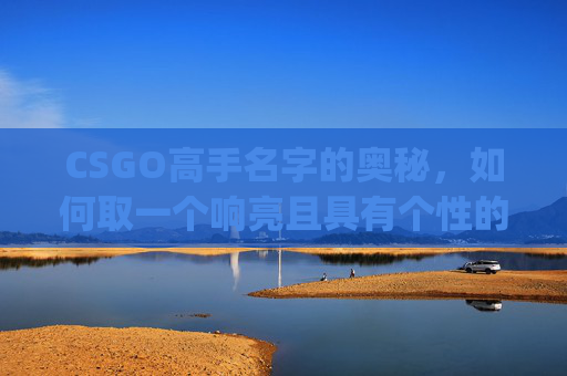 CSGO高手名字的奥秘，如何取一个响亮且具有个性的名字,csgo高手的名字怎么取好听