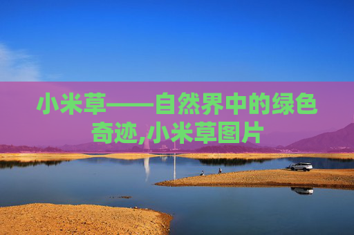 小米草——自然界中的绿色奇迹,小米草图片