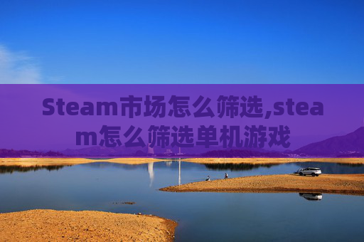 Steam市场怎么筛选,steam怎么筛选单机游戏