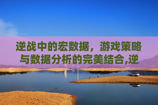 逆战中的宏数据，游戏策略与数据分析的完美结合,逆战宏数据大全