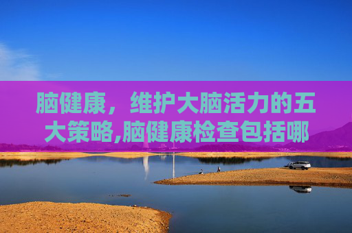 脑健康，维护大脑活力的五大策略,脑健康检查包括哪些