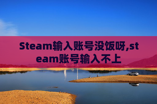Steam输入账号没饭呀,steam账号输入不上