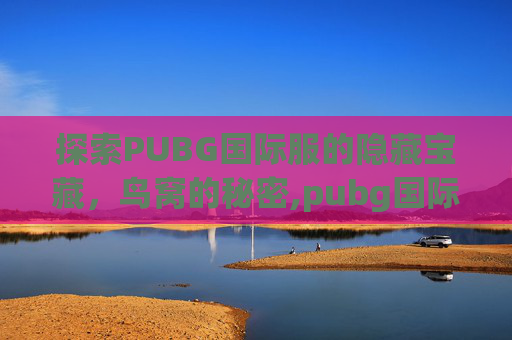 探索PUBG国际服的隐藏宝藏，鸟窝的秘密,pubg国际服鸟怎么获得