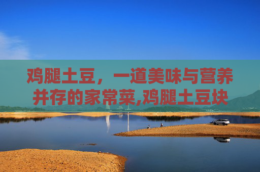鸡腿土豆，一道美味与营养并存的家常菜,鸡腿土豆块家常做法