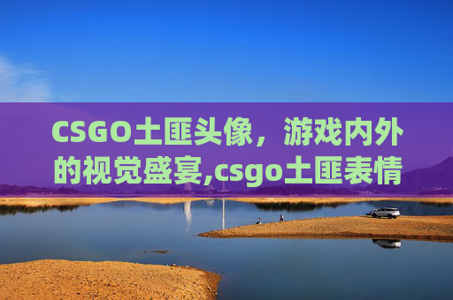 CSGO土匪头像，游戏内外的视觉盛宴,csgo土匪表情包