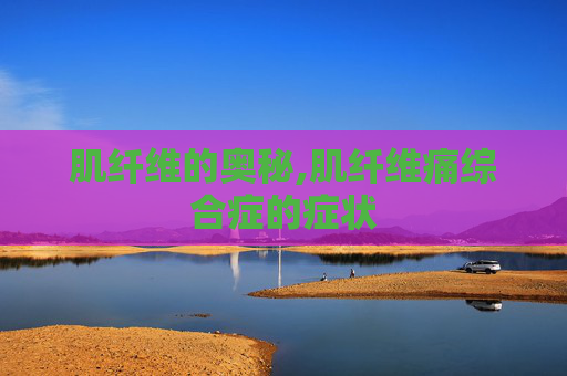 肌纤维的奥秘,肌纤维痛综合症的症状