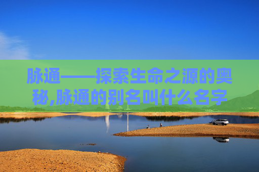 脉通——探索生命之源的奥秘,脉通的别名叫什么名字
