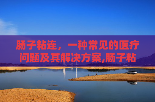 肠子粘连，一种常见的医疗问题及其解决方案,肠子粘连有什么办法解决