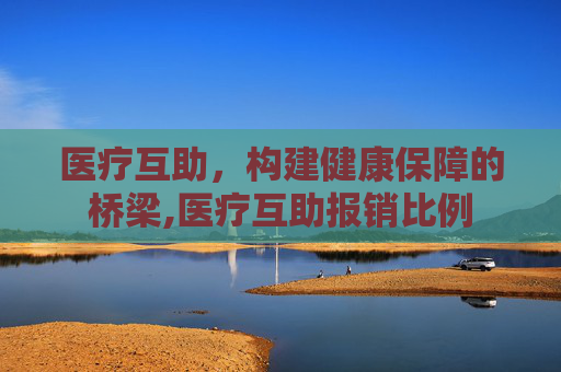 医疗互助，构建健康保障的桥梁,医疗互助报销比例