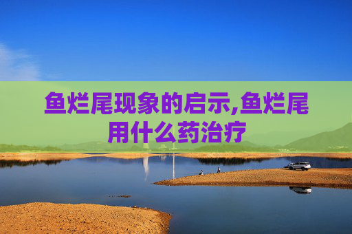 鱼烂尾现象的启示,鱼烂尾用什么药治疗
