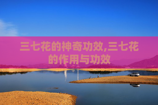 三七花的神奇功效,三七花的作用与功效