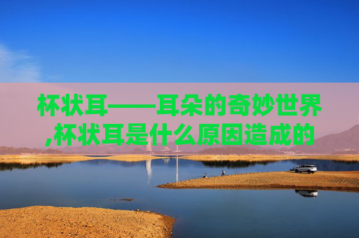 杯状耳——耳朵的奇妙世界,杯状耳是什么原因造成的