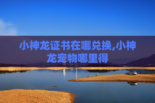 小神龙证书在哪兑换,小神龙宠物哪里得