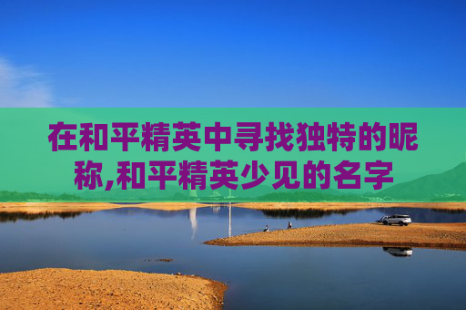 在和平精英中寻找独特的昵称,和平精英少见的名字