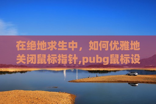 在绝地求生中，如何优雅地关闭鼠标指针,pubg鼠标设置