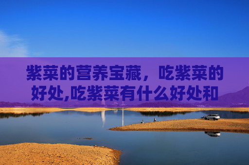紫菜的营养宝藏，吃紫菜的好处,吃紫菜有什么好处和坏处