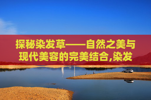 探秘染发草——自然之美与现代美容的完美结合,染发草的功效与作用图片